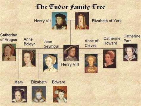 sovrani stuart tudor|who ruled the tudor kingdom.